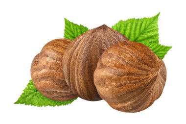 Üç fındık yaprak kabuk olmadan closeup paket tasarım öğeleri izole. Beyaz arka plan üzerinde taze organik fındık. 3 somun makro. Koleksiyonu