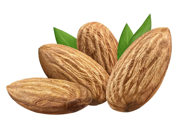 Dört badem closeup yaprak kabuk olmadan paket tasarım öğesi beyaz arka plan olarak izole. Grup somun makro kavramı
