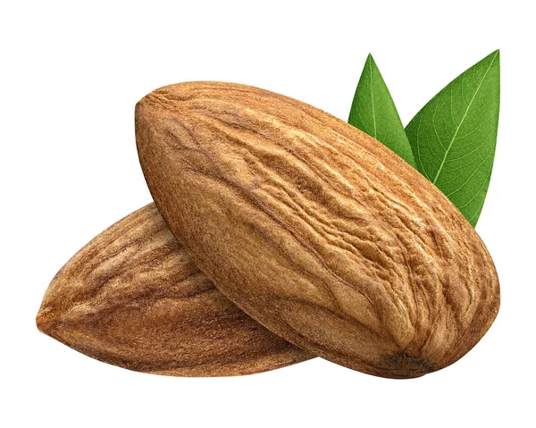 Paket tasarım öğesi beyaz arka plan olarak yaprak kabuk olmadan iki badem izole kapatmak. Grup somun makro kavramı