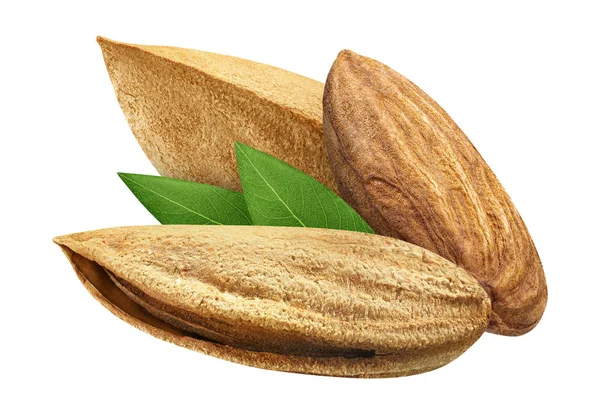 Three Almond isolated closeup with leaf as package design element on white background. Group Nut macro concept — Stock Photo, Image