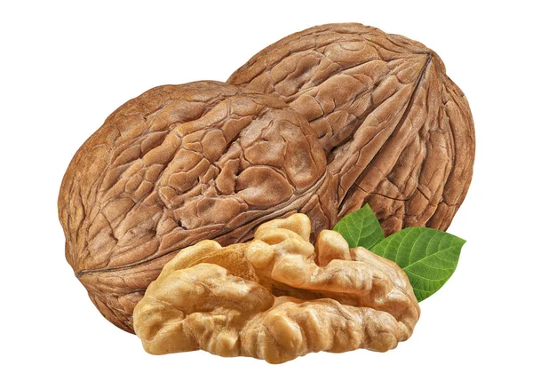 Three Walnut isolated closeup  on white background with clipping path. Nut macro. Walnuts with leaf as package design element collection — Stock Photo, Image