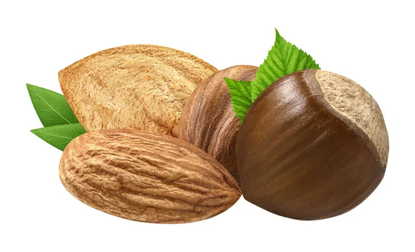 Hazelnut and almond isolated closeup   with leaf as package design elements. Fresh organic filbert on white background. Macro four Nuts. Collection — Stock Photo, Image