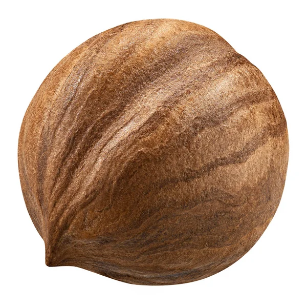 Fındık kabuğu olmadan closeup paket tasarım öğeleri izole. Beyaz arka plan üzerinde taze organik fındık. Somun makro. Koleksiyonu