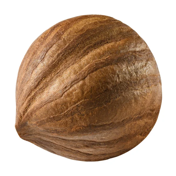 Fındık closeup paket tasarım öğeleri izole. Beyaz arka plan üzerinde taze organik fındık. Somun makro kabuk olmadan. Koleksiyonu