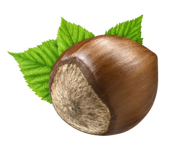 Bir fındık yaprak kabuğundaki closeup paket tasarım öğeleri izole. Beyaz background.1 somun makro üzerinde taze organik fındık. Koleksiyonu