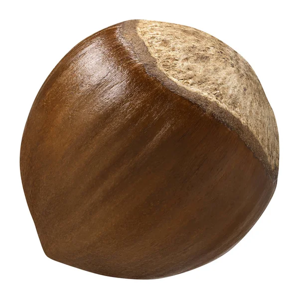 Fındık closeup paket tasarım öğeleri izole. Beyaz arka plan üzerinde taze organik fındık. Fındık kabuğu makro içinde. Koleksiyonu