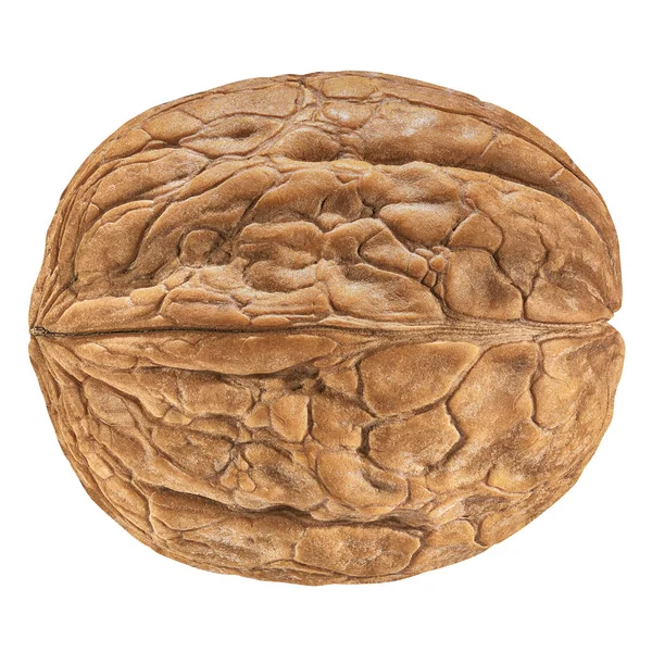 Bir ceviz izole closeup paket tasarım öğesi koleksiyonu beyaz arka plan üzerinde olarak kabuğundaki