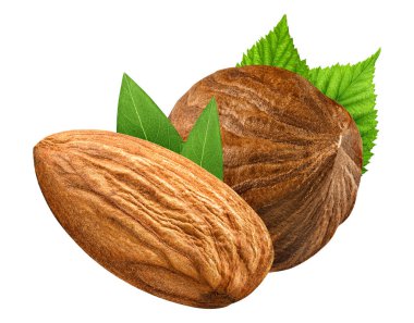 Fındık ve badem gibi tasarım öğeleri paketi yaprak closeup izole. Beyaz arka plan üzerinde taze organik fındık. Makro iki fındık. Koleksiyon. Alan (Dof tam derinliği ).