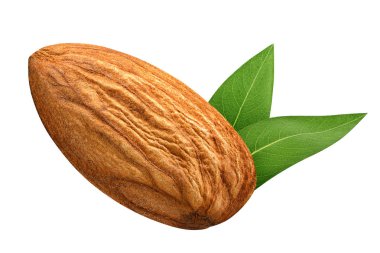 Kabuk yaprak paket tasarım öğesi olarak beyaz arka plan olmadan bir badem izole kapatmak. Somun makro kavramı. Alan (Dof tam derinliği ). 