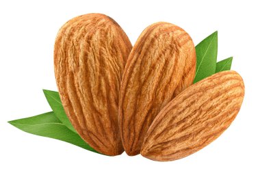 Paket tasarım öğesi beyaz arka plan olarak yaprak kabuk olmadan üç badem izole kapatmak. Tam derinlik-in tarla (Dof). Grup somun makro kavramı.