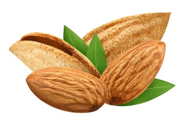 Dört badem izole closeup yaprak paket tasarım öğesi olarak beyaz arka plan ile. Grup somun makro kavramı. Alan (Dof tam derinliği ). 