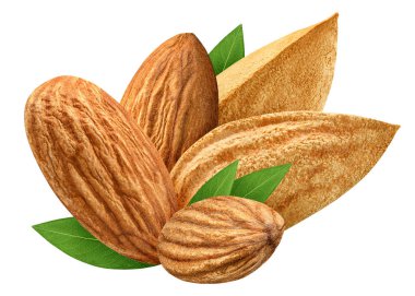 Beş badem izole closeup yaprak paket tasarım öğesi olarak beyaz arka plan ile. Grup somun makro kavramı. Alan (Dof tam derinliği ). 