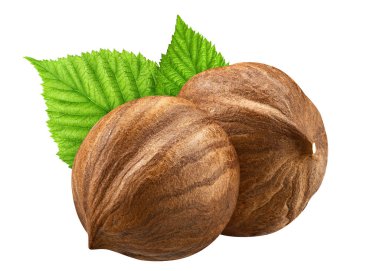 İki fındık yaprak kabuk olmadan closeup paket tasarım öğeleri izole. Beyaz arka plan üzerinde taze organik fındık. 2 fındık makro. Koleksiyonu