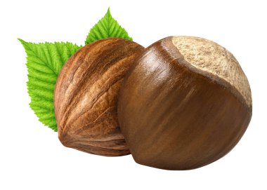 İki fındık closeup kabuk ve kabuk gibi tasarım öğeleri paketi yaprak olmadan izole. Beyaz arka plan üzerinde taze organik fındık. 2 fındık makro. Koleksiyonu