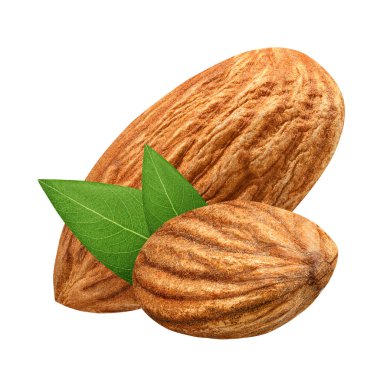 Paket tasarım öğesi beyaz arka plan olarak yaprak kabuk olmadan iki badem izole kapatmak. Grup somun makro kavramı. Alan (Dof tam derinliği ). 