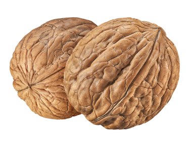 Kırpma yolu beyaz zemin üzerine ceviz izole kapatmak. Somun makro. Tam derinlik-in tarla. Paket tasarım öğesi koleksiyonu olarak ceviz