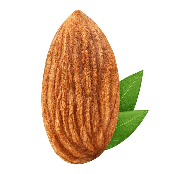 One Almond isolated closeup without shell with leaf as package design element on white background. Full depth of field ( DOF ). Nut macro concept. — Stock Photo, Image