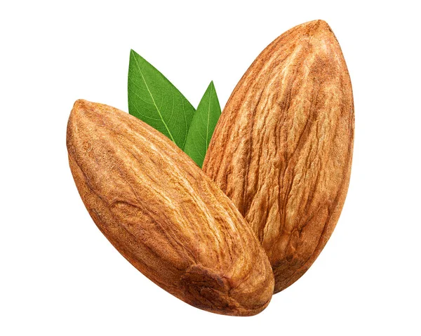 Paket tasarım öğesi beyaz arka plan olarak yaprak kabuk olmadan iki badem izole kapatmak. Grup somun makro kavramı. Alan (Dof tam derinliği ). 