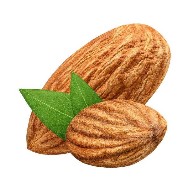 Paket tasarım öğesi beyaz arka plan olarak yaprak kabuk olmadan iki badem izole kapatmak. Grup somun makro kavramı. Alan (Dof tam derinliği ). 