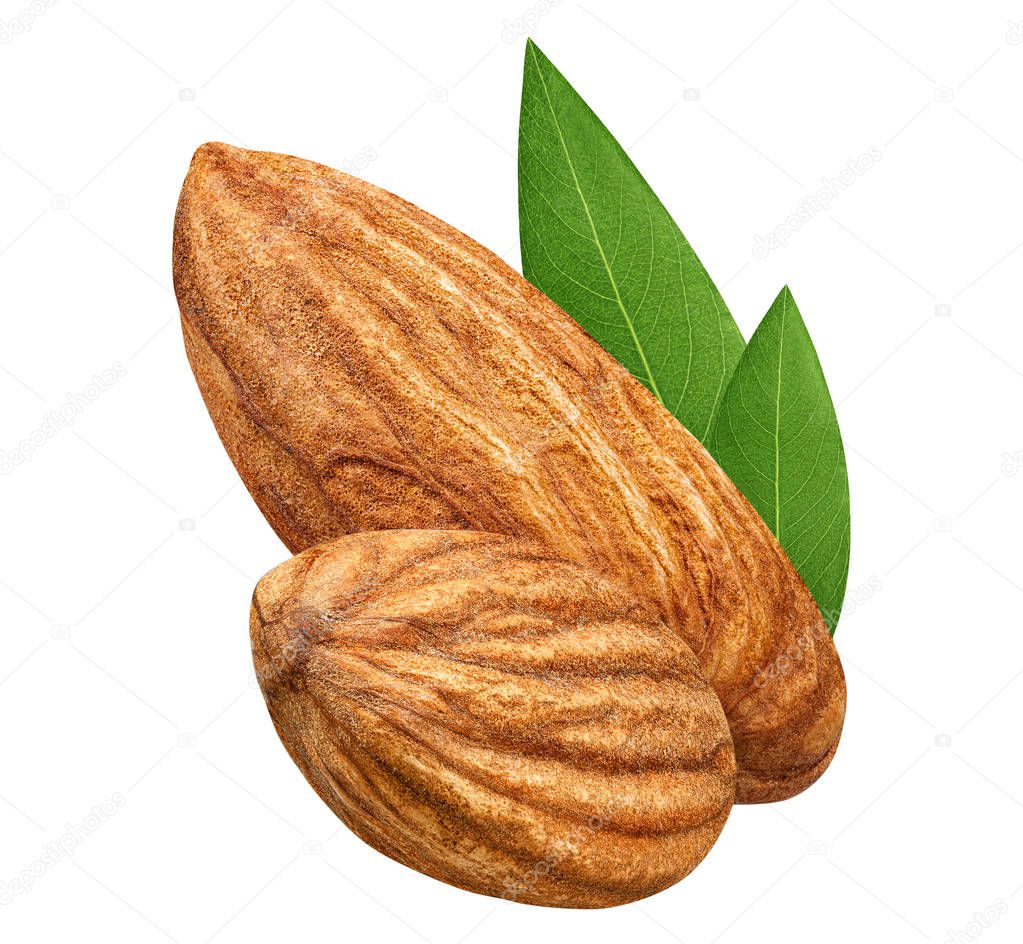 Two Almond isolated closeup without shell with leaf as package design element on white background. Group Nut macro concept. Full depth of field ( DOF ). 