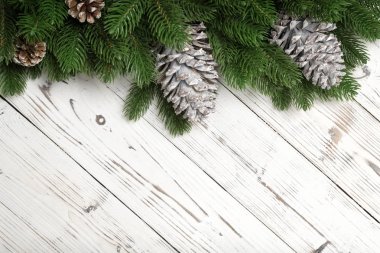 Noel köknar ağaç dalları ve çam kozalakları arka plan