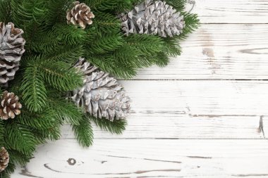 Noel köknar ağaç dalları ve çam kozalakları arka plan