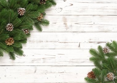 Noel dekor köknar dalı ve çam koni Beyaz ahşap zemin üzerinde