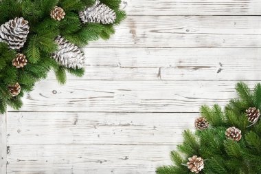 Noel köknar ağacı dalları çam kozalakları arka plan kopya alanı ile
