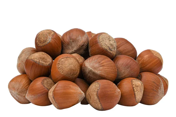 Lískový ořech izolovaný na bílém pozadí. Hromada lískových ořechů v plášti krunýře. Biopotravin. Kolekce — Stock fotografie