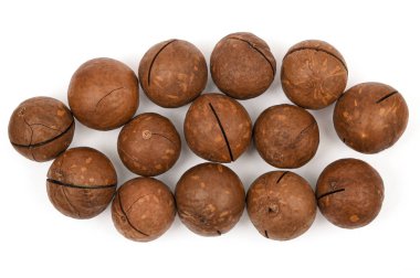 Beyaz arka plan üzerinde izole kabuk Macadamia fındık. Üstte görüntü