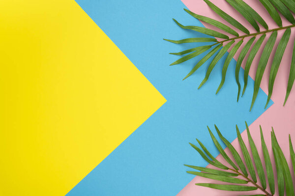 Tropical palm leaves on pastel yellow, blue, pink color background. Top view. Flat lay