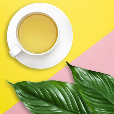 Pastel mavi pembe arka plan üzerinde, kopya alanı ile yeşil tropikal yaprak ve çay bardağı Düz yatıyordu masa çalışması. Üst te. Yaz konsepti