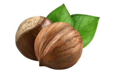 Fındıklar beyaz arka planda izole edilmiş. Fındık makro koleksiyonu