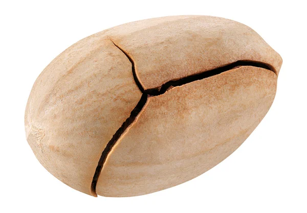 Pecan isolerad på vit bakgrund. Närbild nöt pekannöt med skal — Stockfoto