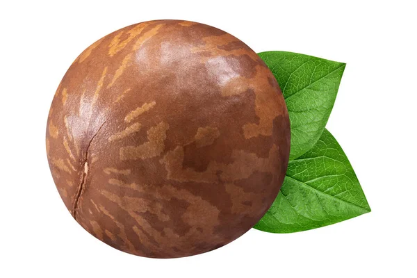 Noix de Macadamia isolées sur fond blanc. Grosse noix de macadamia avec feuille verte comme élément de conception de l'emballage — Photo