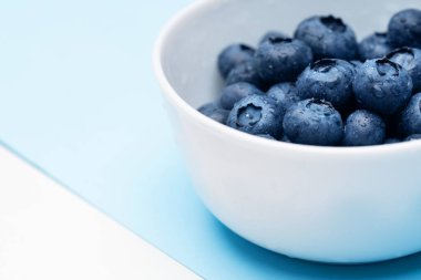 Arka planda çiğ taneli yaban mersini makrosu. 