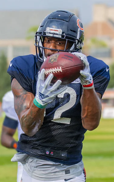 Bourbonnais Illinois Agosto 2018 Campamento Entrenamiento Chicago Bears Allen Robinson — Foto de Stock