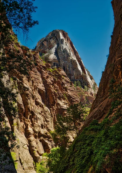 Zion Nationalpark Utah — Stockfoto