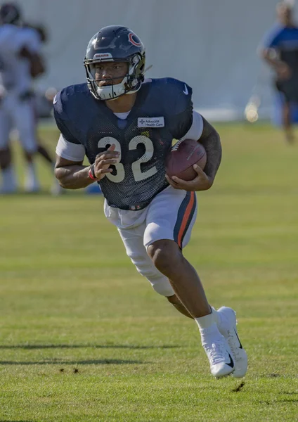 David Montgomery Runs Ball Chicago Bears Training Camp Bourbonnais Illinois — стоковое фото