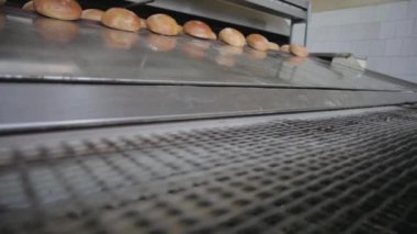 Ekmek fırını gıda fabrikası üretimi ve taze ürünler