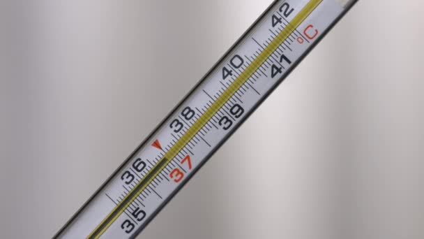 Termómetro de mercurio de vidrio toma temperatura sobre fondo blanco 2 — Vídeo de stock