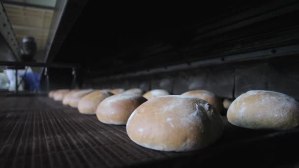 Het brood op de transportband oven. Brood bakkerij — Stockvideo