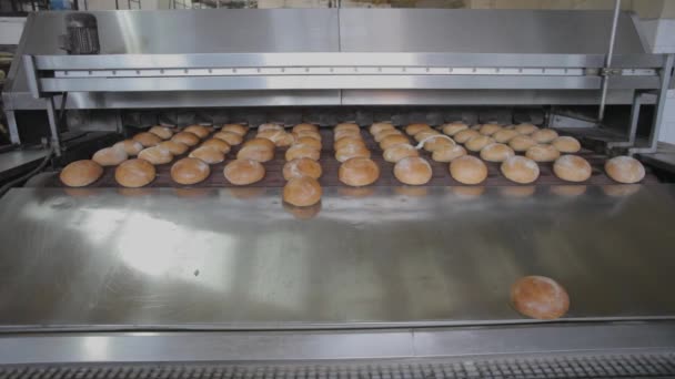 Het brood op de transportband oven. Brood bakkerij — Stockvideo