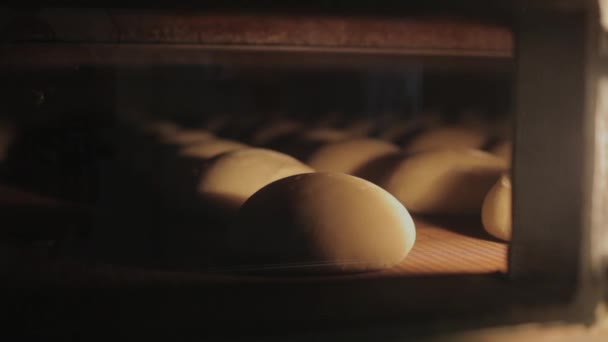 El pan en el horno transportador . — Vídeos de Stock