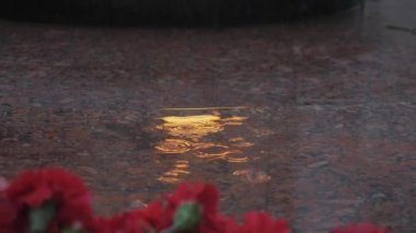 Yağmur çiçekler üzerinde düşüyor. Eternal flame yansımasıdır. Rusya Sovyet ordusu için zafer anıtı. Gün, yağmur, Mayıs
