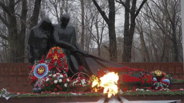 苏联军队在俄罗斯的胜利纪念馆。天, 雨, 五月。永恒的火焰。宽镜头 — 图库视频影像
