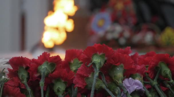 Blumen auf dem defokussierten Hintergrund der ewigen Flamme. Siegesdenkmal für die sowjetische Armee in Russland. Tag, Regen, Mai. — Stockvideo
