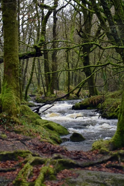 Golitha Falls Buurt Van Lanreath Liskeard Engeland — Stockfoto