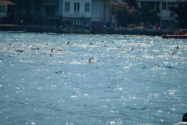 2018 Samsung Bosphorus Cross Kontinentales Schwimm Rennen Istanbul Türkei 2018 — Stockfoto