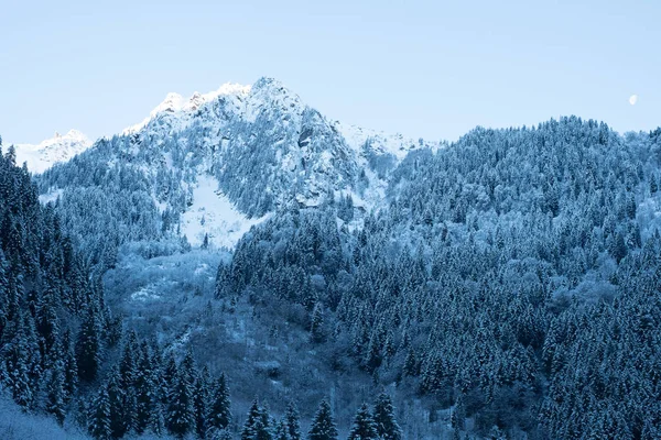 Chalet Courchevel Snow Winter Travel Ski Resort. Beautiful view of traditional rustic wooden mountain chalet secluded in idyllic forest